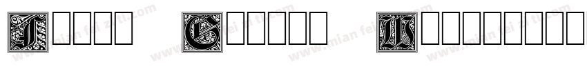 Field Gothic Wide字体转换